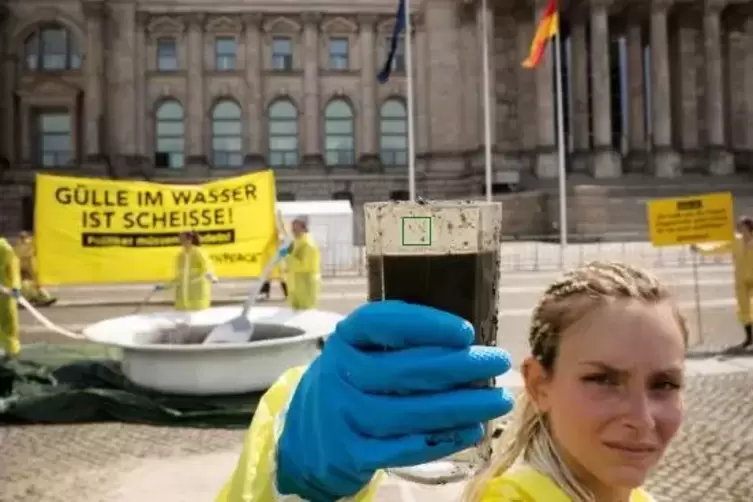 Âuch Greenpeace-Aktivisten haben bereits mehrfach gegen die ihrer Meinung nach ungenügenden Maßnahmen gegen Überdüngung der Böde