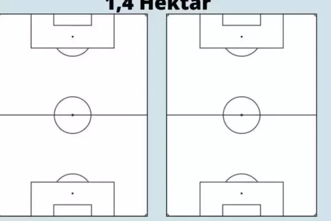 Grafik: flä/dpp, huber, Quelle: STATISTIK RLP, DESTATIS
