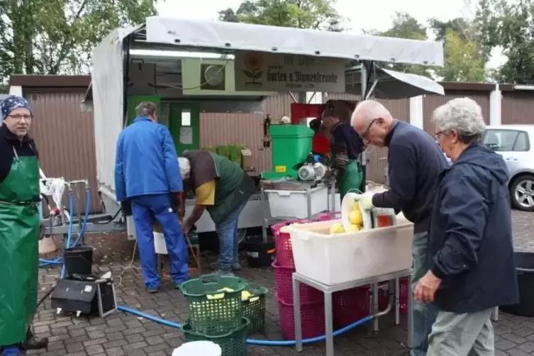 Seit 2012 gibt es die mobile Apfelpresse in Schifferstadt. Vier Mann arbeiten dreimal pro Woche an der Presse.
