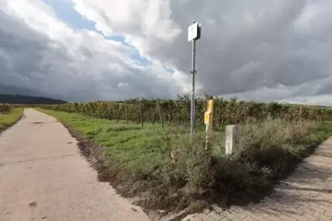 Hier könnte nach Ansicht von Bürgermeister Rüttger künftig der Radweg verlaufen: Der Weg rechts ist die Verlängerung des Kreuzer