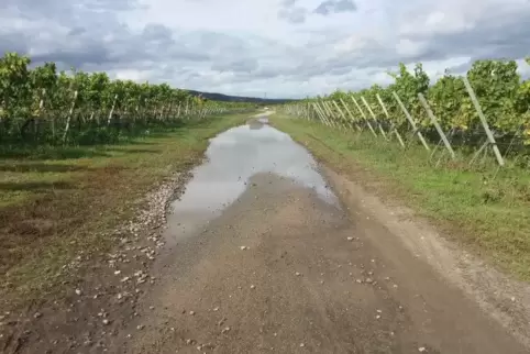 Nach Regen steht der bei Fahrradfahrern beliebte Wirtschaftsweg, der von der Straße Im Neustück nach Bad Dürkheim führt, an eini