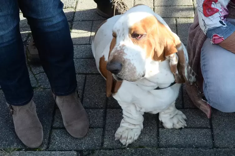 20191013_winzer_festumzug_20191013_winzer_festumzug_z.JPG