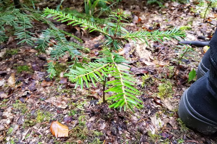 20191007_121731.JPG
