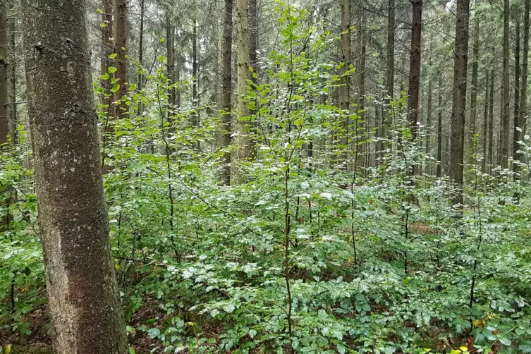 20191007_124059-01.JPG