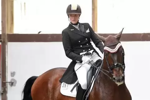 Mirjam Gall auf ihrem zehn Jahre alten Hengst Notario.