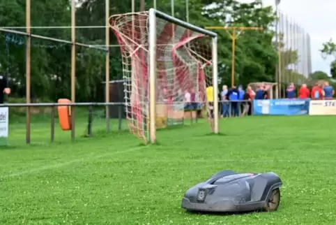 Der neueste Star in der Siedlung: der Rasenroboter.