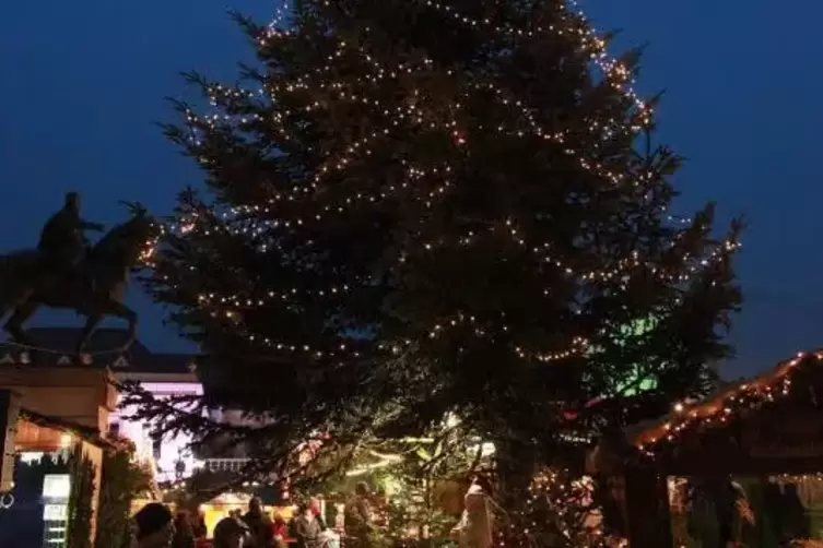 Den großen Weihnachtsbaum auf dem Rathausplatz soll es auch dieses Jahr wieder geben.