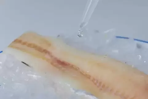 Die Fischfilets können ohne Kassenbon zurückgegeben werden.