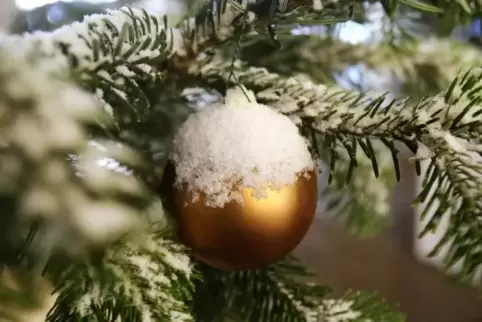 In Landau gibt es in diesem Jahr weniger Weihnachtsbäume. Ein Grund: der Klimaschutz.