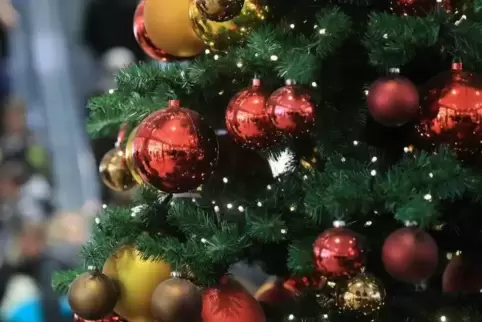 In Landau gibt es in diesem Jahr weniger Weihnachtsbäume – unter anderem aus ökologischen Gründen.