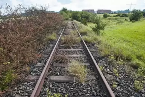 Der Radweg auf der Bachbahntrasse soll ab nächstem Jahr gebaut werden. Der Erfenbacher Paul-Peter Götz will sich schon jetzt um 