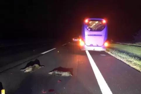 Die Unfallstelle.