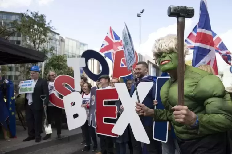 Diese Demonstranten in Brüssel ließen keinen Zweifel daran, was sie vom Brexit halten: nichts.