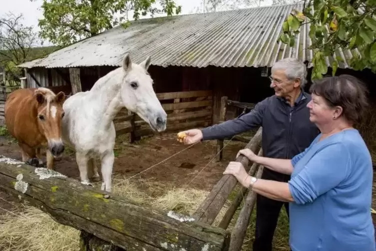 Wollen nicht vom Kühbörncheshof weg: Irmtrud und Willi Ediger bei ihren Pferden.