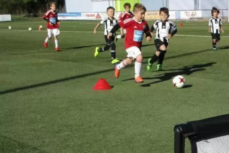 Weniger Kinder auf dem Platz, dafür mehr Ballkontakte und Torchancen – so stellen sich SWFV und DFB den neuen Kinderfußball vor.