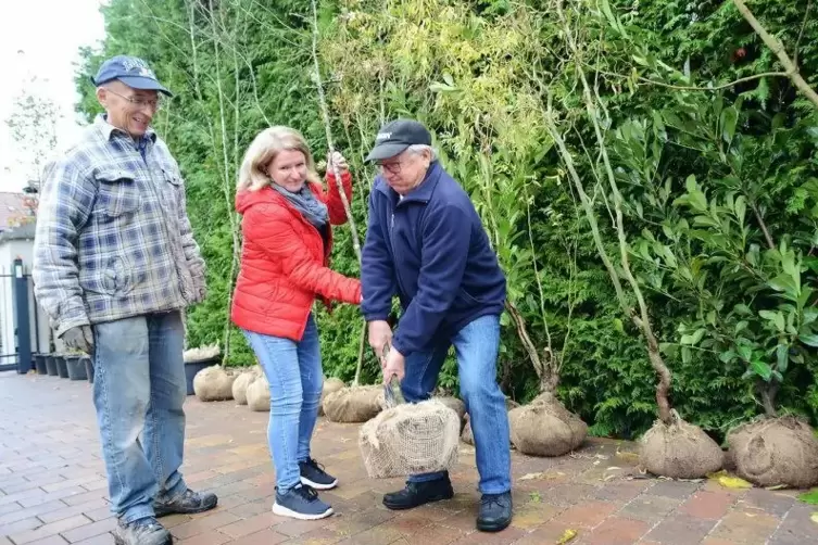Anja Poplonski und ihr Vater Albert Morio nutzen die Baum-Verschenkaktion von Thomas Weiner.