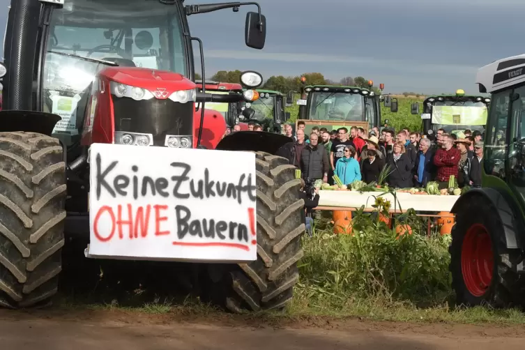 protest_der_bauern_landwirte09652.JPG