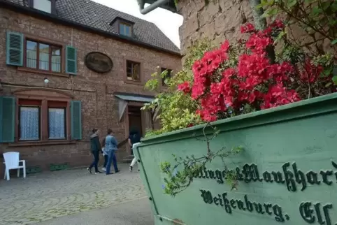 Nachhaltige Projekte, also Projekte im Sinne auch künftiger Generationen, könnten in Erlenbach gefördert werden.
