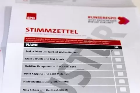 Noch bis Freitag, 24 Uhr, können die SPD-Mitglieder über die neue Parteispitze abstimmen.