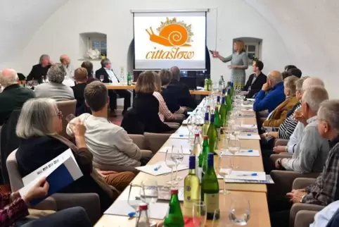 Wie zufrieden sind die Deidesheimer mit ihrer Stadt? Das hat das Institut für Management und Tourismus der Fachhochschule Westkü