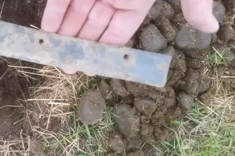 „Markierter“ Fundort: Aluminiumteil vom abgebrochenen Flügel der Dakota auf der Weide beim Engelhof.