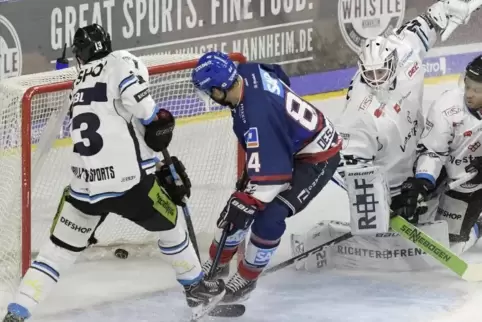 Andrew Desjardins (Mitte) überwindet den Straubinger Torwart Sebastian Vogl zum 1:1-Ausgleich für die Adler.