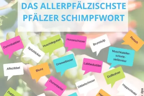 Pfaelzer_Schimpfwort.jpg