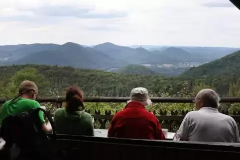 Himmlische Aussichten verbunden mit herzhafter Hausmannskost: Blick von der Trifelsblickhütte der Pfälzerwald-Vereins-Ortsgruppe