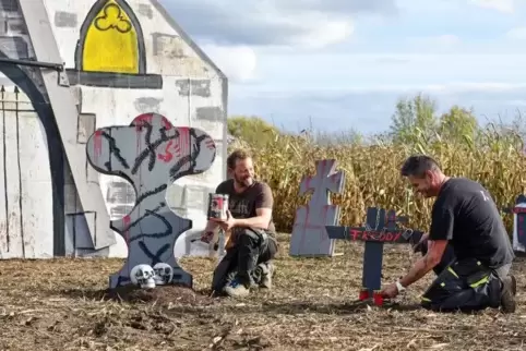 Das Maislabyrinth wird für die Gruselnacht gerichtet.