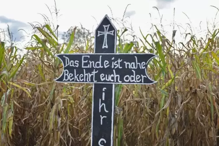 Und irgendwo im Mais lauert Freddy Kr&uuml;ger.