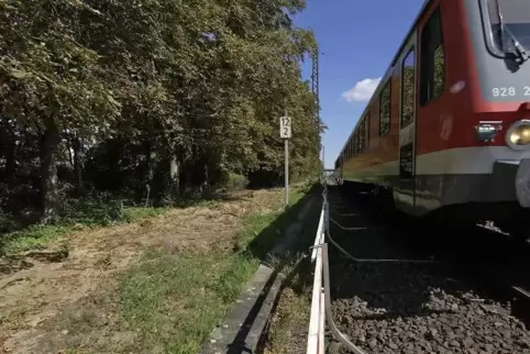 Muss die ab 2007 gebaute Lärmschutzwand am Carl-Bosch-Ring verlängert werden? Darüber streiten Bahn und Stadt.