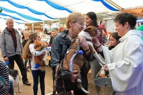 Schlange stehen, ums Tier segnen zu lassen: Gemeindereferentin Tina Becker hatte bei der Tiersegnung alle Hände voll zu tun.