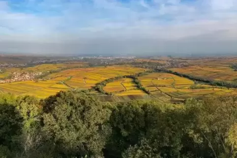 Ein Blick von Neu Castell über Leinsweiler aus in die Ebene.