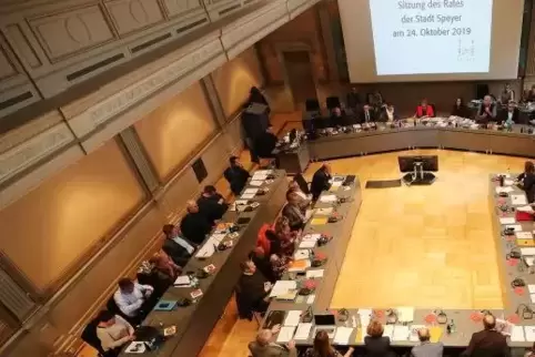 Jugend-Ouote im Stadtrat: Das ist eine Forderung aus der ersten Bürgersammlung des RDJ.