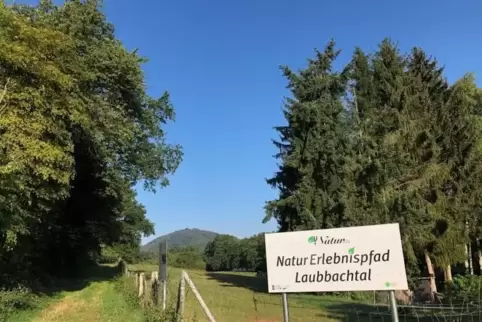 Der Naturerlebnispfad geht auf eine initiative des Naturschutzvereins Steinbach zurück. Er soll auch vor allem von Kitas und Sch