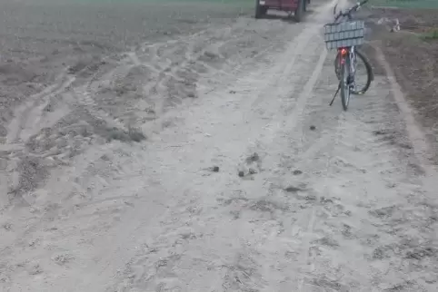 Vor allem im Herbst müssen Radfahrer mit schlammigen Radwegen rechnen.