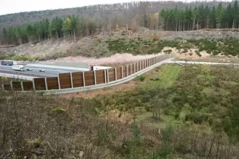 Eine Wildbrücke über die B 10 gibt es zwischen Hinterweidenthal und der Abfahrt nach Lemberg. Ein solches Bauwerk soll auch zwis