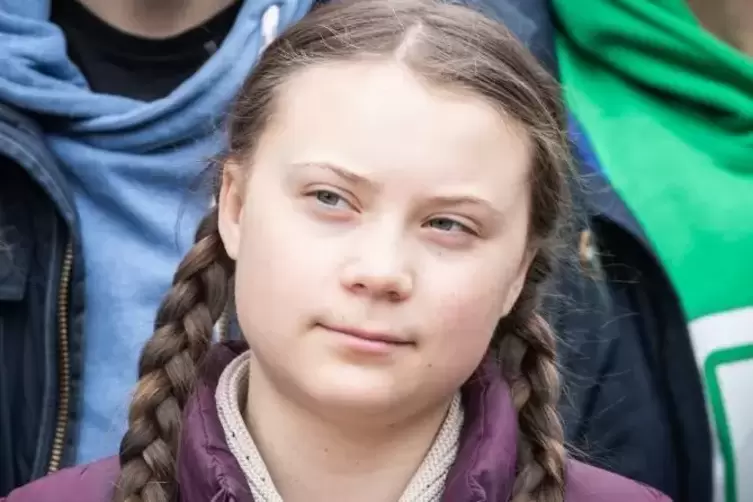 Nach Klimaaktivistin Greta Thunberg wurde nun ein Käfer benannt.