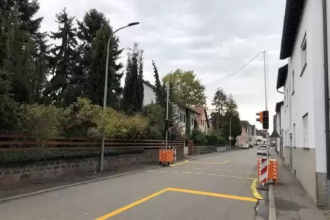 Wurde von Mitarbeitern des LBM installiert: die Testampel, die nun bis mindestens Ostern in der Germersheimer Straße in Berghaus