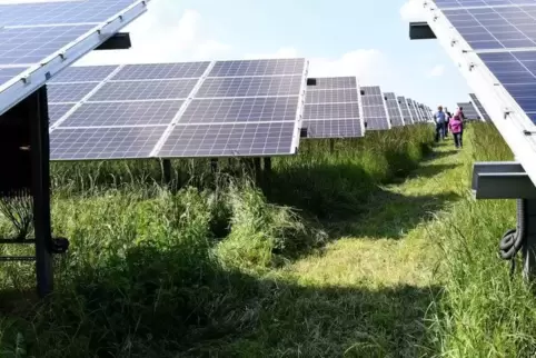 Photovoltaik-Anlagen sind eine sinnvolle Nutzung der Oberfläche von abgeschlossenen Mülldeponien – wie hier in Ellerstadt.