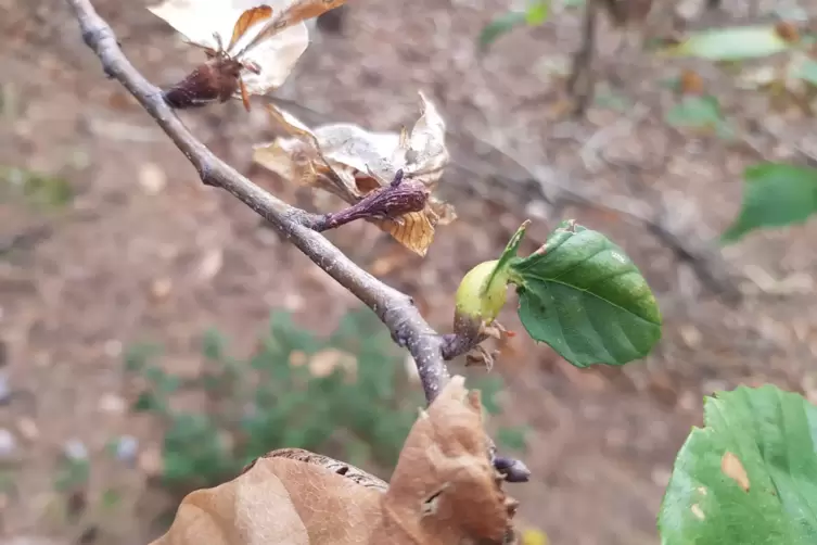 20191015_111926.jpg