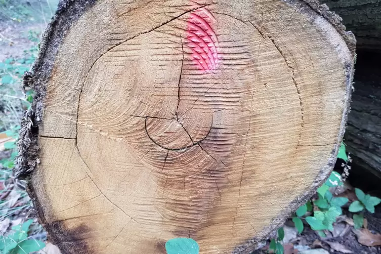 20191015_113412.jpg