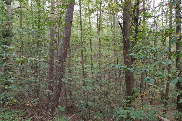 20191015_114043.jpg