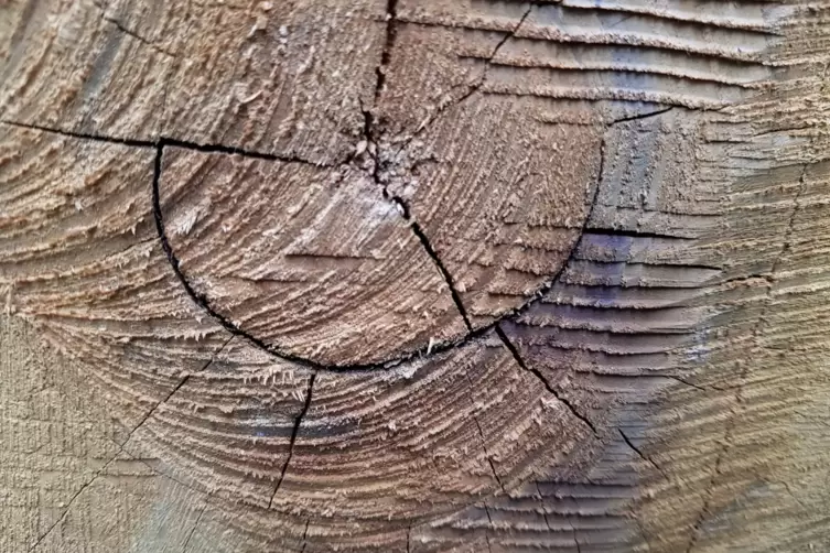 20191015_113429.jpg