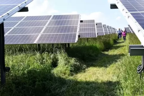 Photovoltaik-Anlagen sind eine sinnvolle Nutzung der Oberfläche von abgeschlossenen Mülldeponien – im Kreis Bad Dürkheim beispie