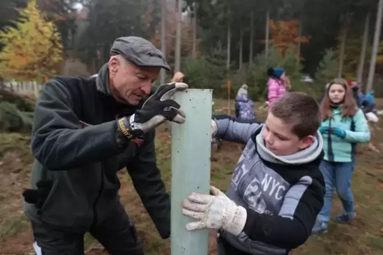 Baumpflanzaktion im Schulwald des Leininger-Gymnasiums: Joachim Weirich hilft Luca beim Setzen einer Schutzhülle.