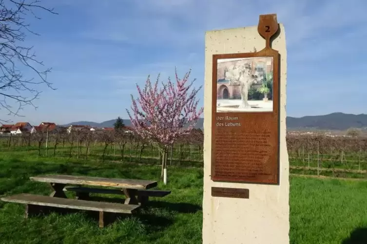 2015 wurde der biblische Wandwerweg in Kirrweiler geweiht. Er ist der einzige Wanderweg in Rheinland-Pfalz, der als barrierefrei