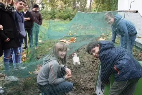 Isabel (links, hockend), Dominik (2.v.l.) und Philipp sehen bei den Hühnern nach dem Rechten.