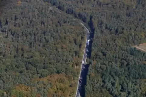 Die Bienwald-B9 führt zum Grenzübergang.