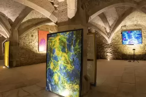 Großformatig und farbenfroh präsentieren sich die Arbeiten von Gerhard Weber im Gewölbekeller des Schlosses.